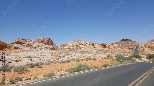 Red Rock Desert Road