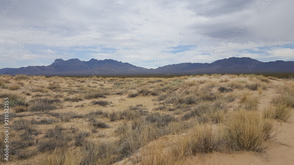 Desert Views