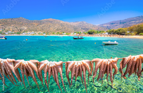 Fototapeta Naklejka Na Ścianę i Meble -  Traditional greek sea food, octopus, drying in the sun, Milopotas, Ios island, Cyclades, Greece
