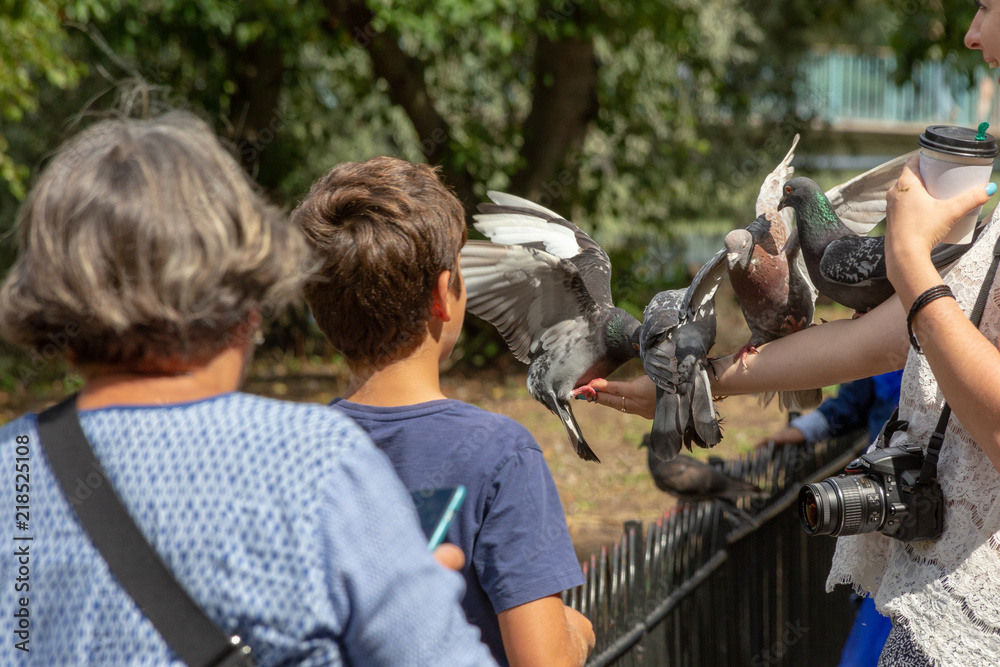 Tourists feeding pigeons in St. James's Park in London on a summer day
