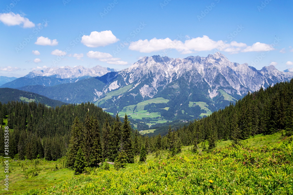 Fototapeta premium Leogang Mountains Leoganger Steinberge with highest peak Birnhorn, idyllic summer landscape Alps, Zell am See district, Salzburg federal state, Austria