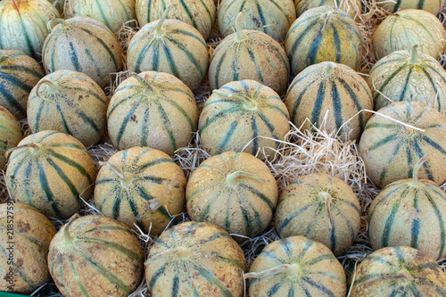 Melons from Cavaillon, ripe round charentais honey cantaloupe melons on local market in Provence, France