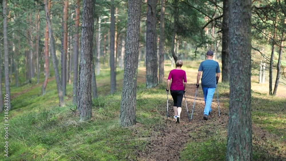 active seniors doing nordic walking in the woods active seniors doing nordic walking in the woods