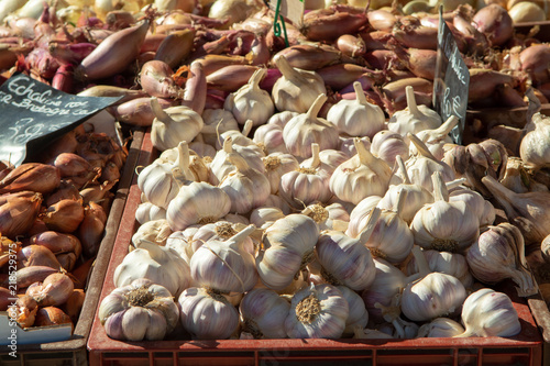 New harvest of fresh garlic for sale on local market in Provence, France