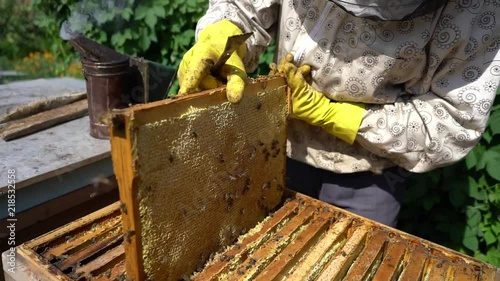 Hives in the apiary, frames with honey. Honey bees collect honey. Smoke discourages bees. photo