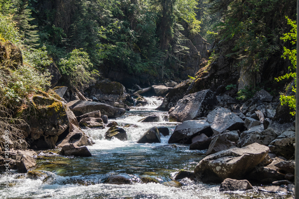 Lostine River at the Eagle Cap Wilderness of Wallowa-Whitman National Forest Lostine River at the Eagle Cap Wilderness of Wallowa-Whitman National Forest