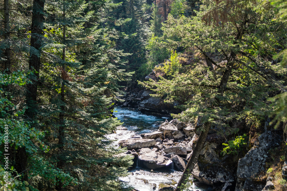 Lostine River at the Eagle Cap Wilderness of Wallowa-Whitman National Forest Lostine River at the Eagle Cap Wilderness of Wallowa-Whitman National Forest