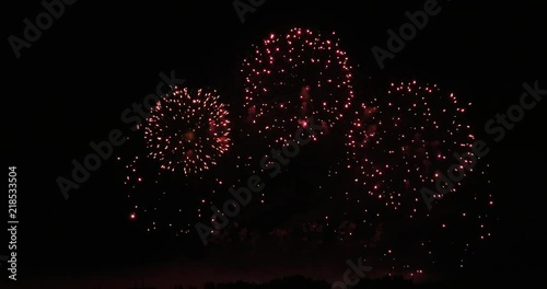 The fireworks in the night sky. Holiday celebration. Colorful and amazing fireworks at holiday night.  .