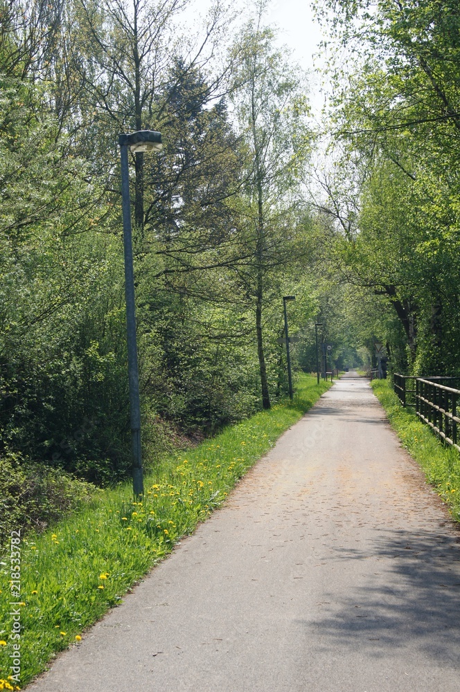 Fahrradweg Blomberg,road, wald, baum, natur, bahn, green, landschaft, park, holz, gras, sommer, herbst, fahrbahn, frühling, pfad, blatt, bäuerlich, himmel, bahnen, gegend, way, anreisen, Fahrradweg Blomberg,road, wald, baum, natur, bahn, green, landschaft, park, holz, gras, sommer, herbst, fahrbahn, frühling, pfad, blatt, bäuerlich, himmel, bahnen, gegend, way, anreisen,