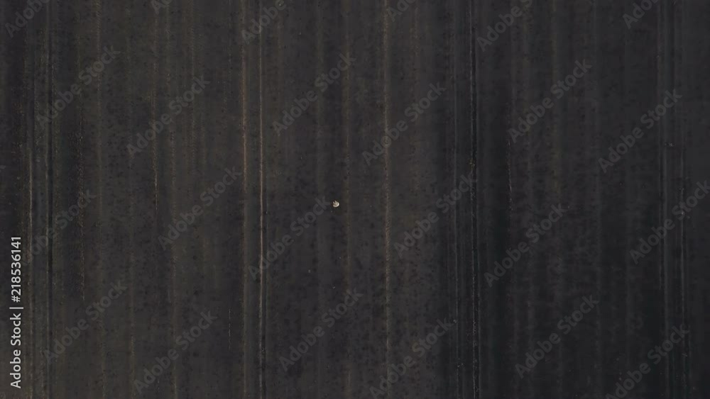 Top view of male farmer flying a drone with remote control in harvested wheat stubble field in summer sunset