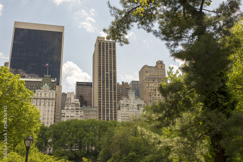 new york city skyline from central park new york city skyline from central park
