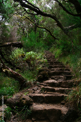 Treppe entlang einer Levada auf Madeira in Portugal