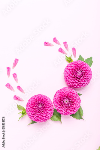 Fototapeta Naklejka Na Ścianę i Meble -  Dahlia ball-barbarry flowers and petals with green leaves and buds.