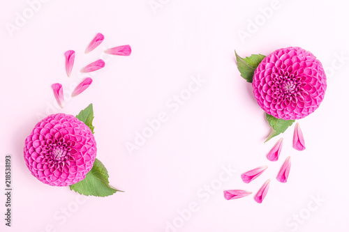 Dahlia ball-barbarry and petals with green leaves and buds - top view on pink bright summer flower. photo