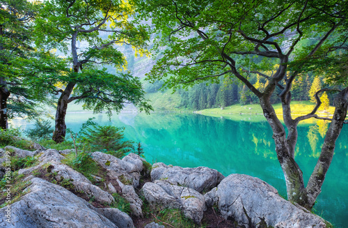 Fototapeta Naklejka Na Ścianę i Meble -  Forest and lake in the Switzerland mountain valley. Tree and water. Natural landscape in the Swotzerland at the summer time.