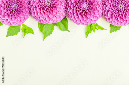 Fototapeta Naklejka Na Ścianę i Meble -  Dahlia ball-barbarry border frame - top view on violet fresh flowers with green leaves and buds.