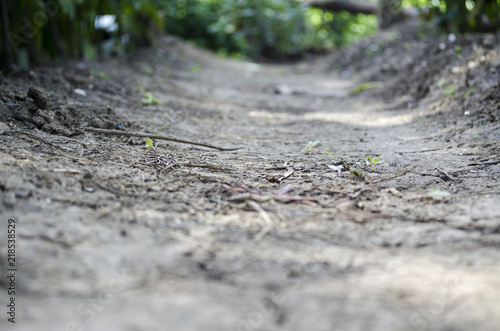 Dry soil. Garden. Vegetable garden