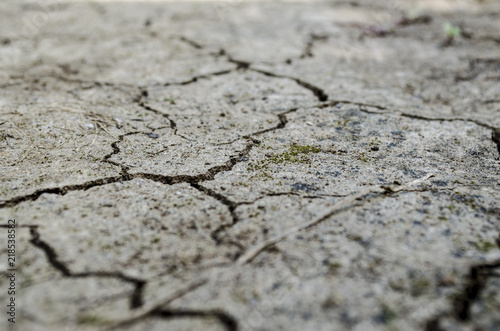 Cracked Earth Surface. Soil. Drought