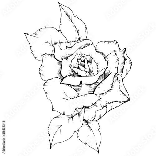 Rose flower in a vector style isolated. Full name of the plant: rose. Vector flower for background, texture, wrapper pattern, frame or border.