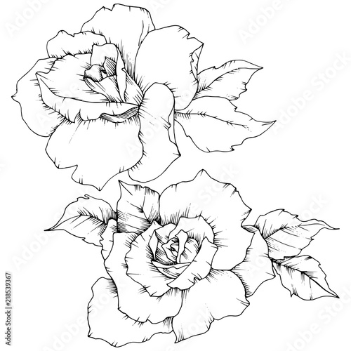 Rose flower in a vector style isolated. Full name of the plant: rose. Vector flower for background, texture, wrapper pattern, frame or border.