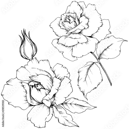 Rose flower in a vector style isolated. Full name of the plant: rose. Vector flower for background, texture, wrapper pattern, frame or border.