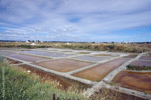 marais salant -guérande photo