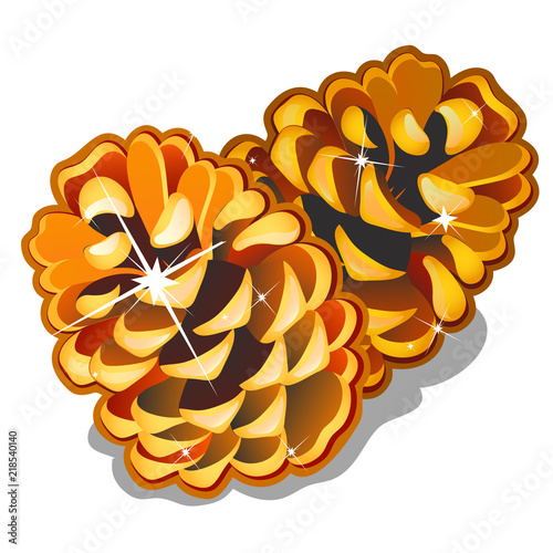 Two golden pinecones isolated on white background. The attributes of the New year and Christmas made out of gold. Sample of the poster, invitation and other cards. Vector illustration.