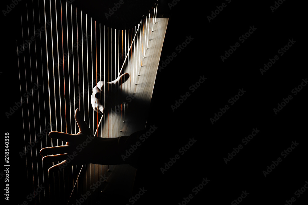 Fototapeta premium Gracz na harfie. Ręce grające na irlandzkich strunach harfowych