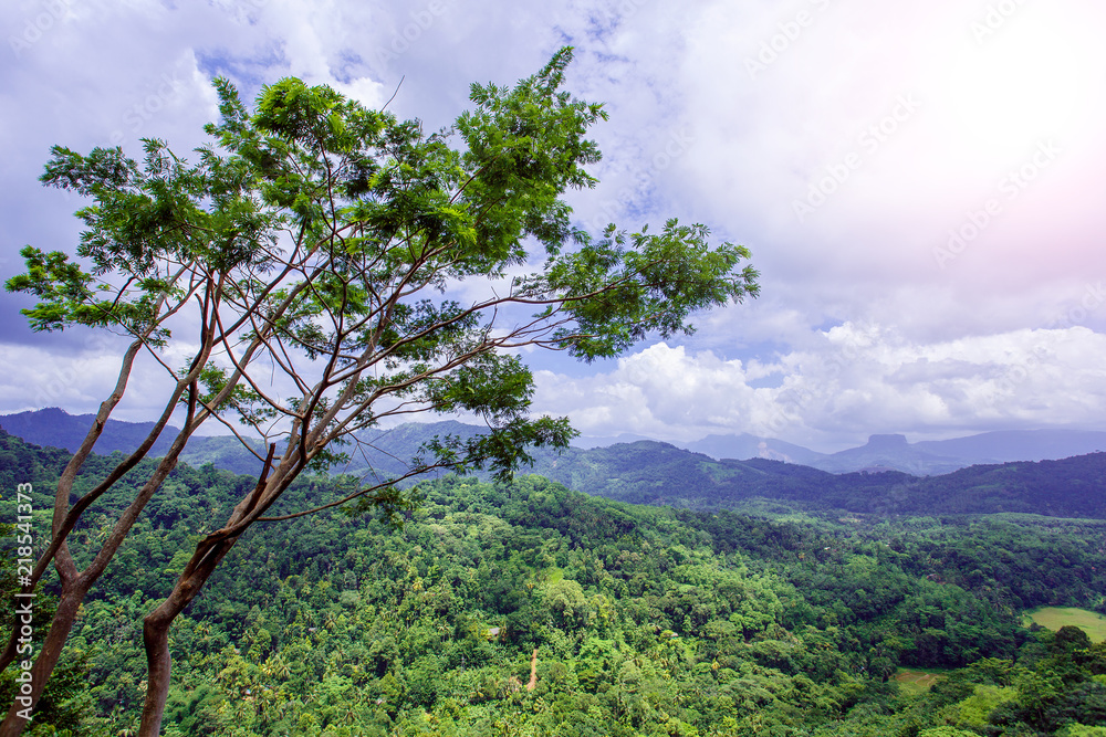 Obraz premium View of the valley in the city of Kandy. Sri Lanka.