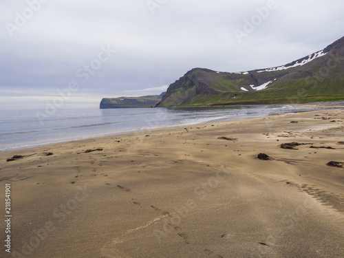 beautiful golden sand bech with view on snow covered cliffs and mountains, Hloduvik cove in Hornstrandir, west fjords, Iceland, green meadow, blue sky background photo