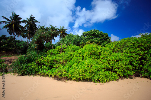 Untouched tropical beach of Sri-lanka