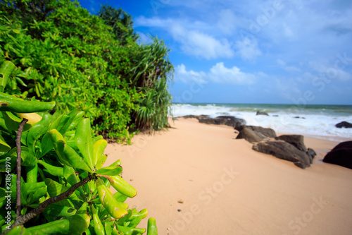 Fototapeta Naklejka Na Ścianę i Meble -  Untouched tropical beach of Sri-lanka