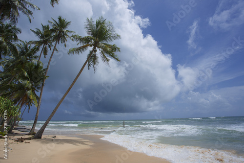 Untouched tropical beach