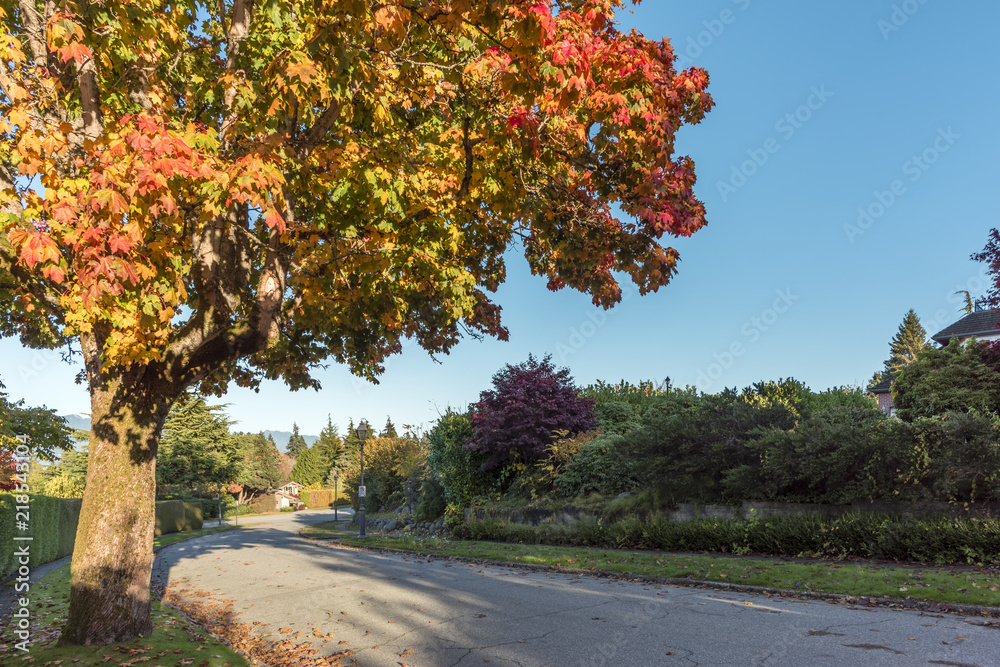 Naklejka premium asphalt road in the autumn street with trees and fallen leaves, private residential house