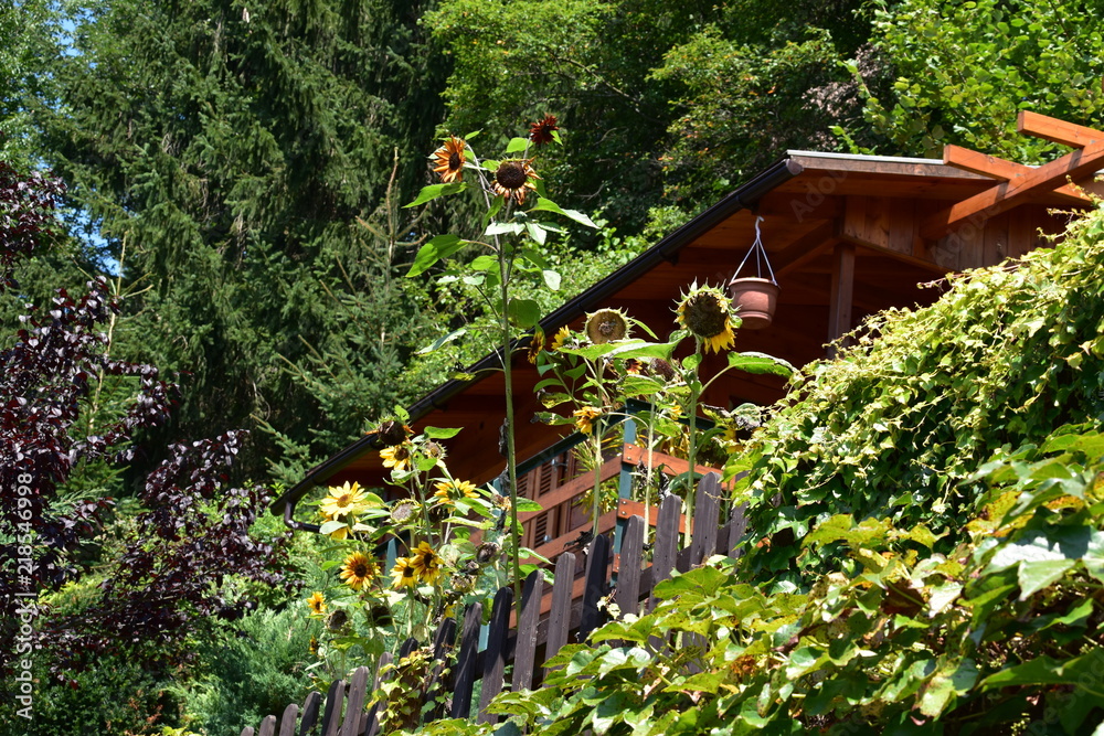 Gartenhütte Gartenhütte