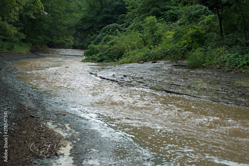 Four mile creek swollen after the morning rain at Wintergreen Gorge