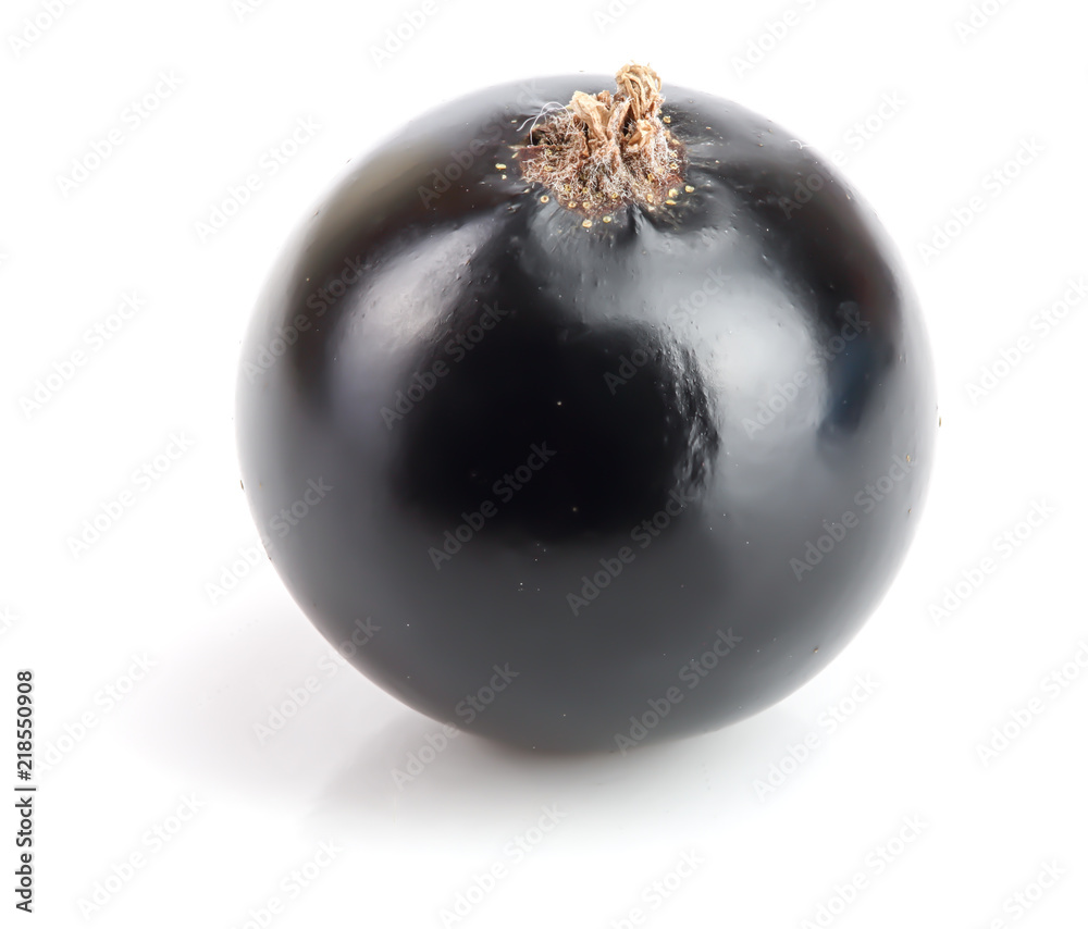 One black currant isolated on white background