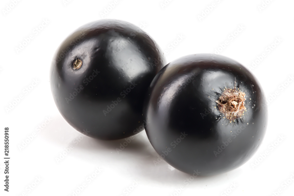 two black currant isolated on white background two black currant isolated on white background