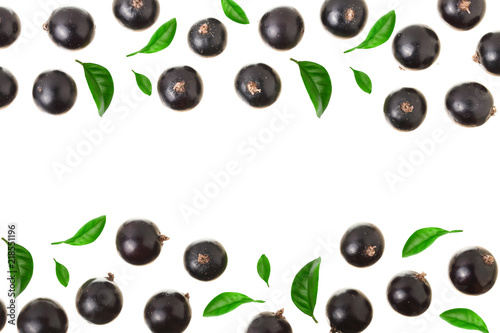 black currant isolated on white background with copy space for your text. Top view. Flat lay pattern