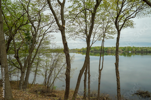 Scenic woods along a lake in Minnesota © Susan Rydberg