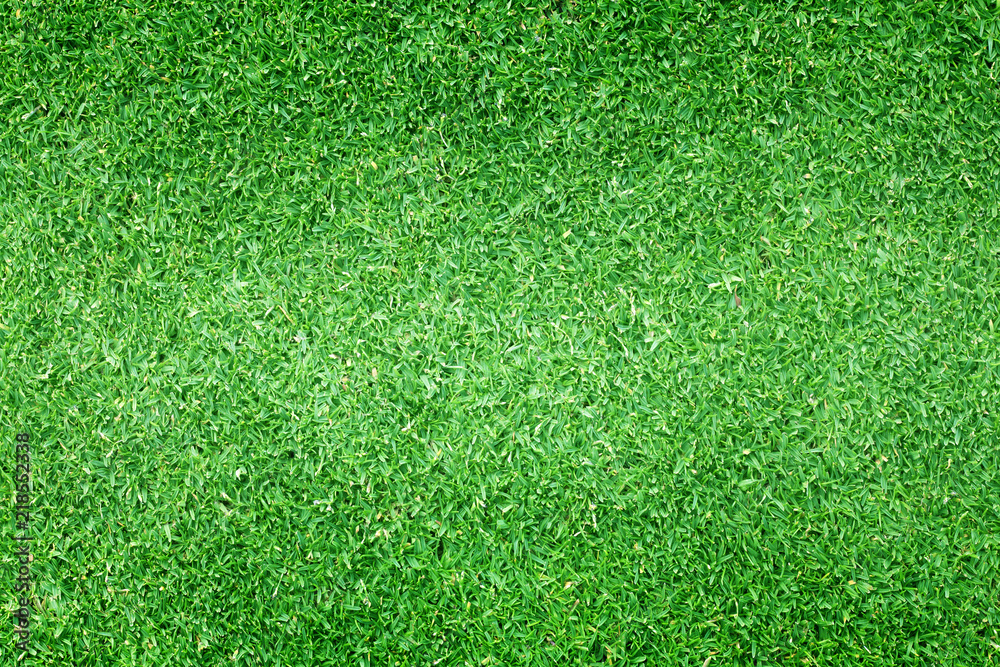 Obraz premium Lawn background Green grass
