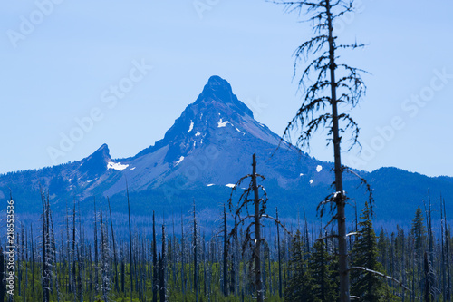 Forest fire destruction of mount Washington in Oregon