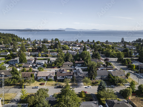 Residential Homes Near the Ocean from Above photo
