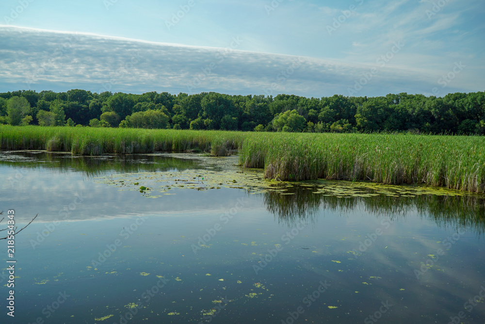 Obraz premium Tranquil Wood Lake at the Nature Preserve at Wood Lake Nature Center in Richfield, Minnesota