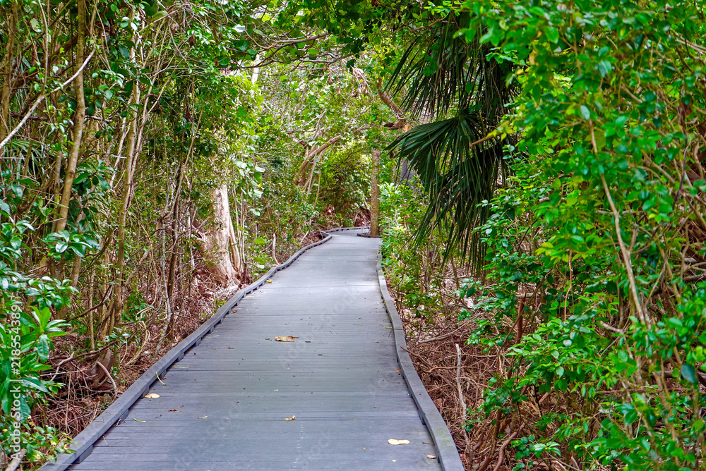 Calusa Shell Mound Trail on Sanibel Island Calusa Shell Mound Trail on Sanibel Island