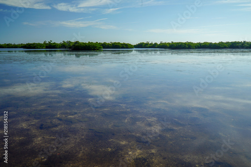 Stillness on a lake at J. N.  Ding  Darling National Wildlife Refuge at Sanibel Island  Florida before Hurricane Ian