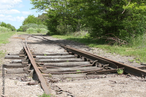 Vias de ferrocarril en el campo