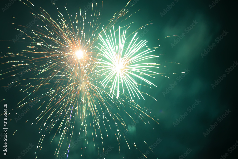 Fototapeta premium fireworks in the night sky
