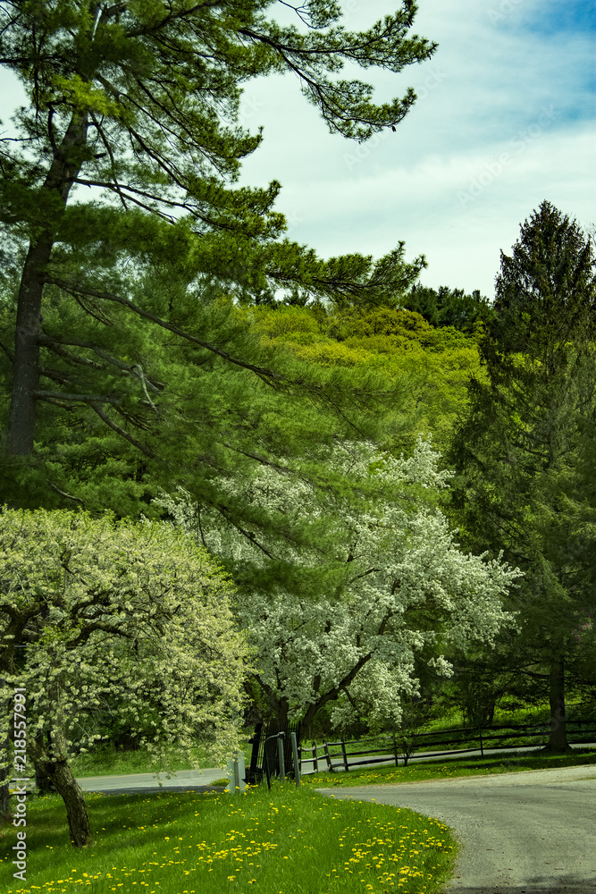 Obraz premium Spring is here