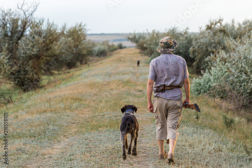 Hunter with a German trotter and spaniel, hunting a pheasant with dogs 